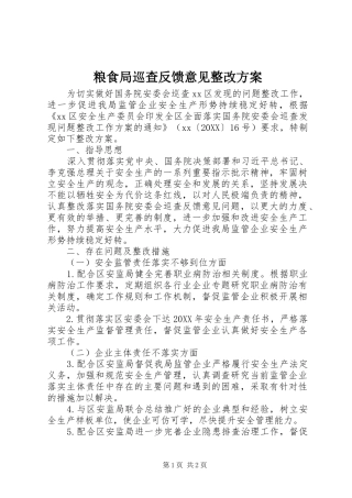 2024年粮食局巡查反馈意见整改方案