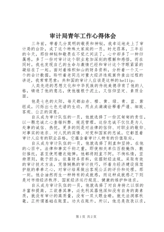 2024年审计局青年工作心得体会