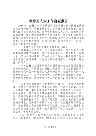 2024年审计局人大工作自查报告