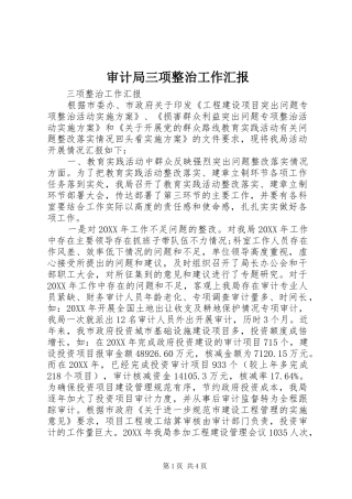2024年审计局三项整治工作汇报