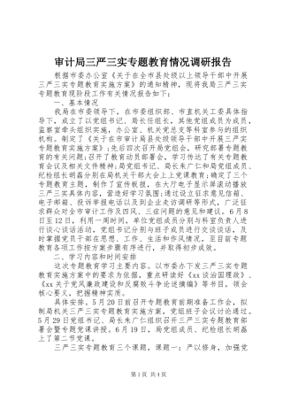 2024年审计局三严三实专题教育情况调研报告