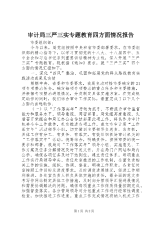 2024年审计局三严三实专题教育四方面情况报告