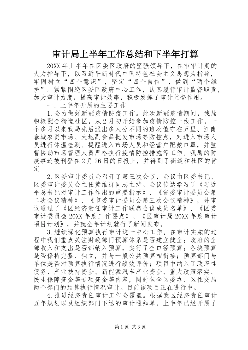 2024年审计局上半年工作总结和下半年打算_第1页