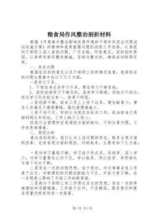 2024年粮食局作风整治剖析材料