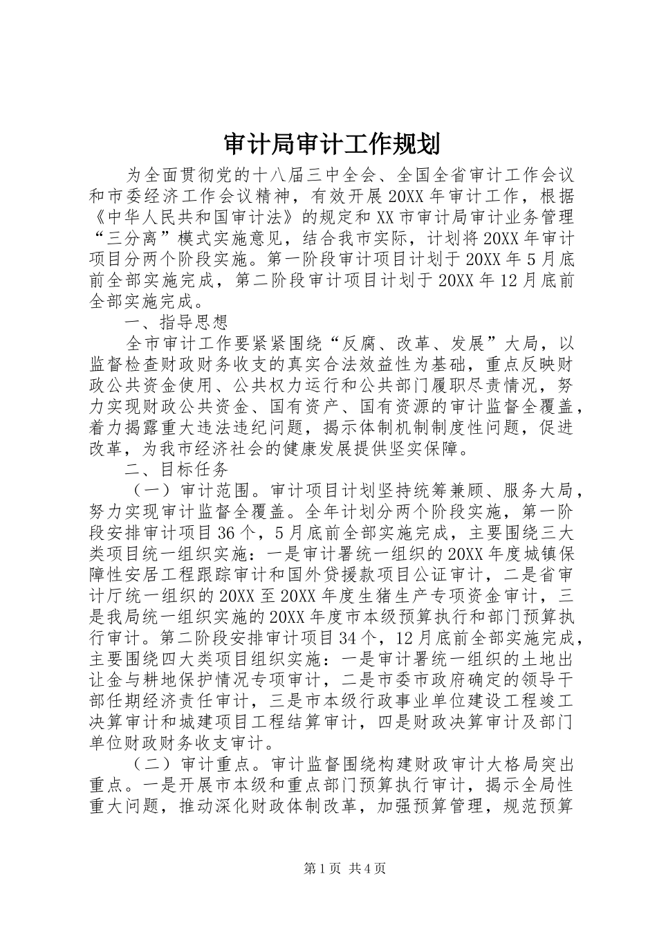 2024年审计局审计工作规划_第1页