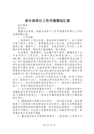 2024年审计局审计工作开展情况汇报