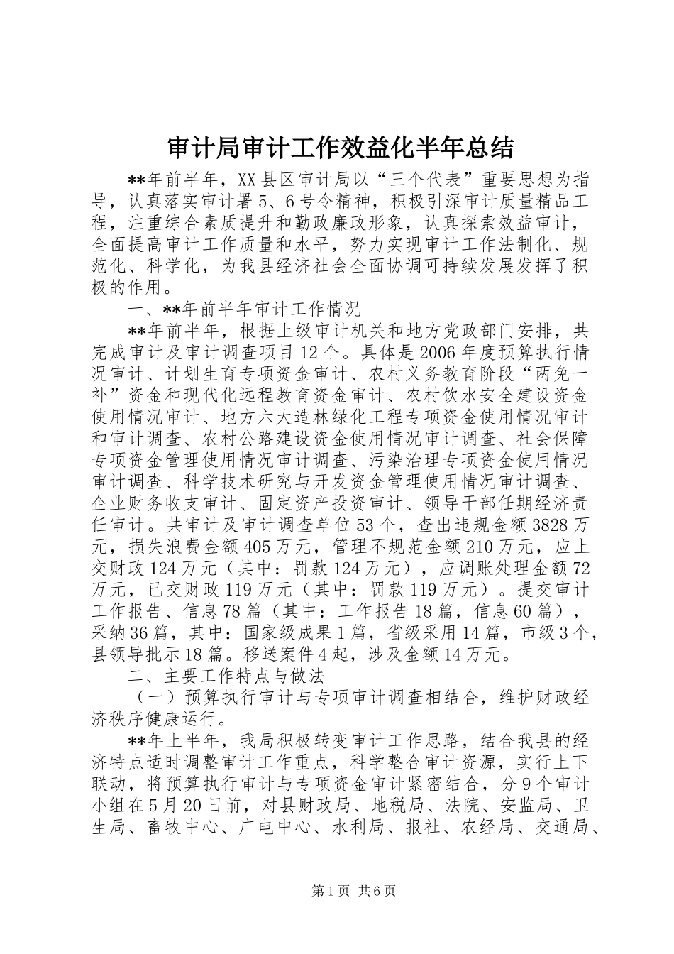 2024年审计局审计工作效益化半年总结_第1页
