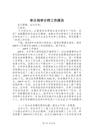 2024年审计局审计师工作报告