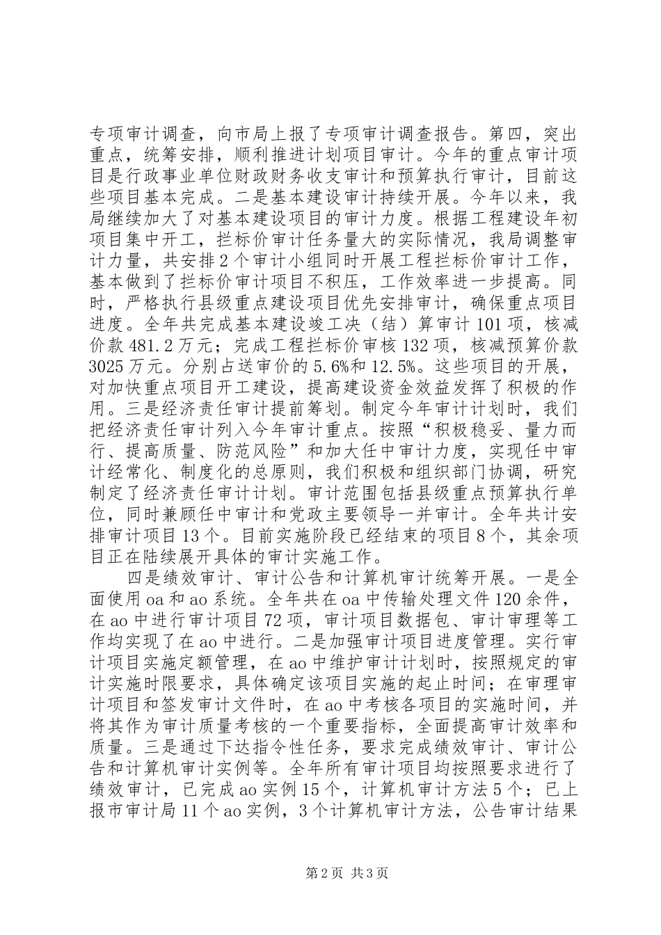 2024年审计局审计统计工作总结_第2页