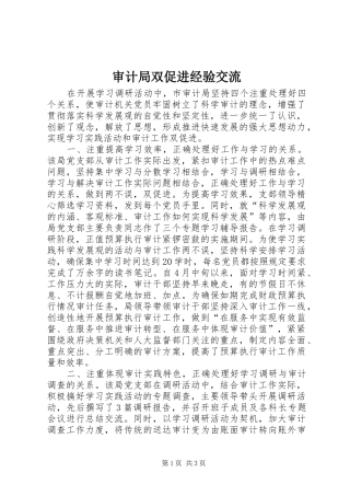 2024年审计局双促进经验交流