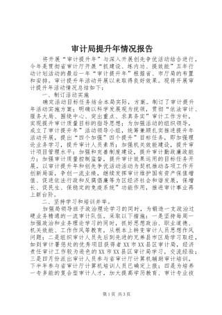 2024年审计局提升年情况报告