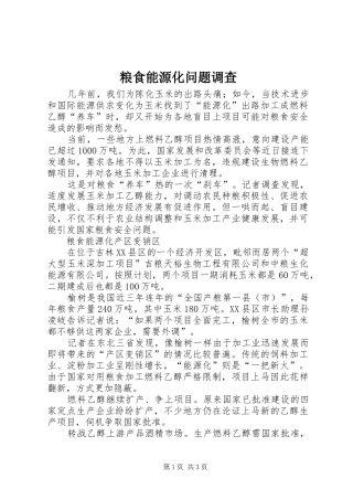 2024年粮食能源化问题调查