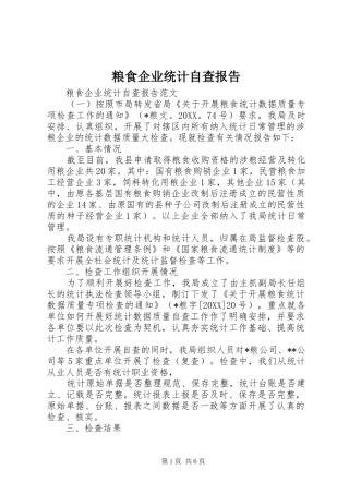 2024年粮食企业统计自查报告