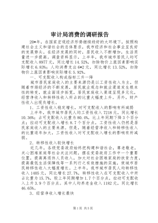 2024年审计局消费的调研报告