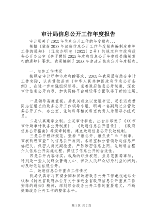2024年审计局信息公开工作年度报告