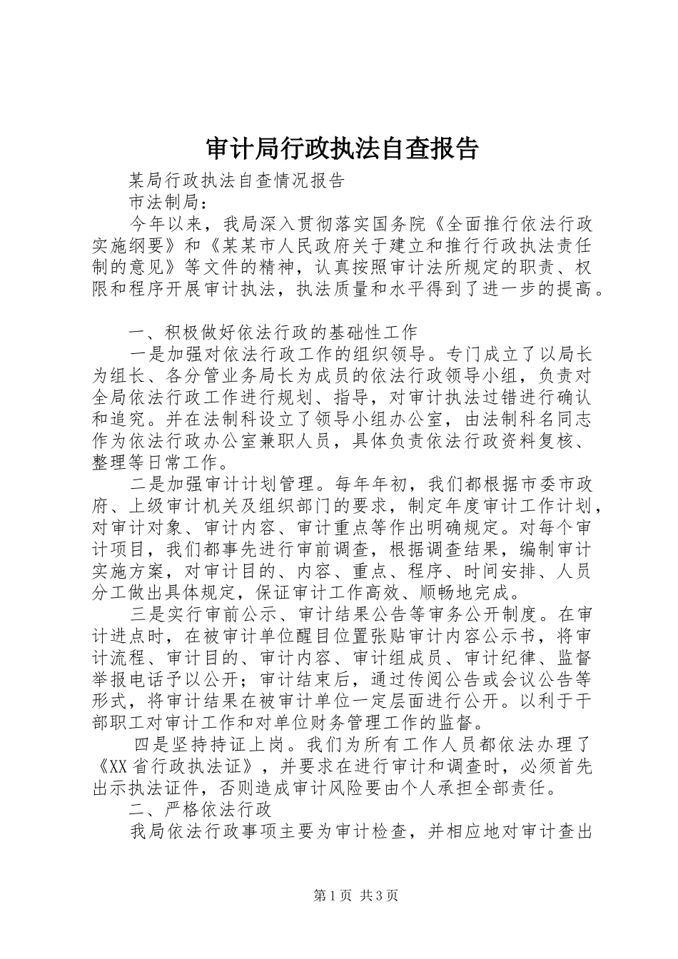 2024年审计局行政执法自查报告_第1页