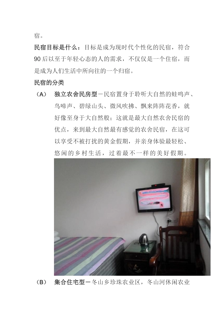 关于民宿调研分析  工商管理专业_第2页