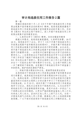 2024年审计局选拔任用工作报告篇