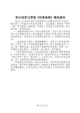 2024年审计局学习贯彻问责条例情况报告