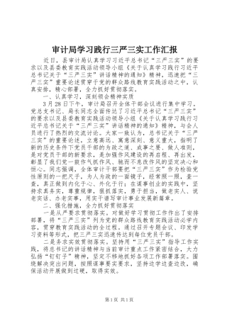 2024年审计局学习践行三严三实工作汇报