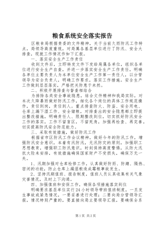 2024年粮食系统安全落实报告