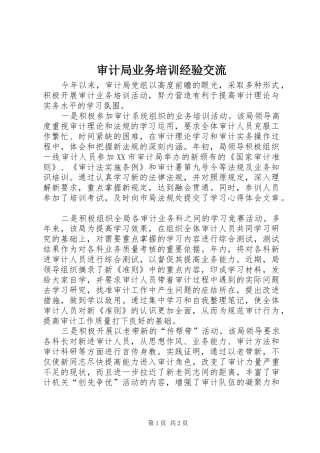 2024年审计局业务培训经验交流