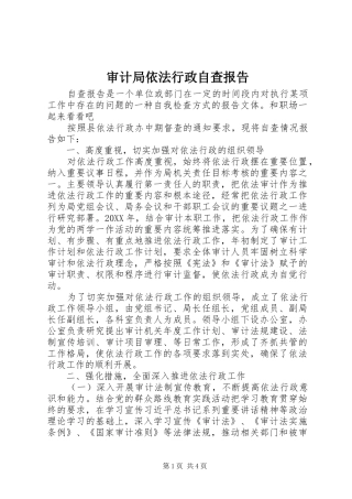 2024年审计局依法行政自查报告