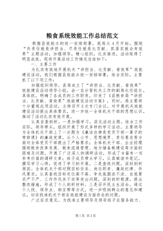 2024年粮食系统效能工作总结范文