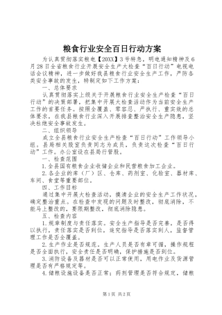 2024年粮食行业安全百日行动方案