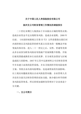 关于人寿保险股份有限公司某支公司财务管理工作情况的调查报告  会计学专业