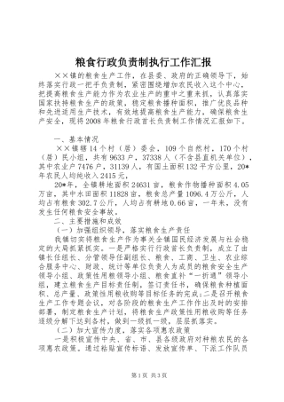 2024年粮食行政负责制执行工作汇报