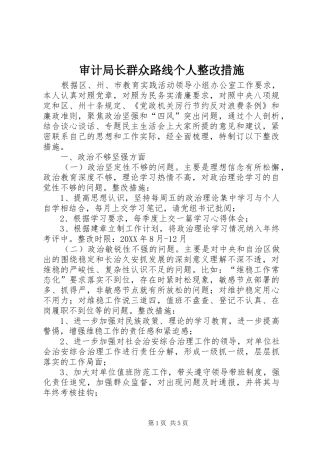 2024年审计局长群众路线个人整改措施