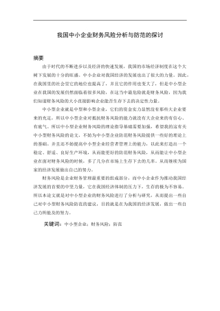 我国中小企业财务风险分析与防范的探讨  会计学专业