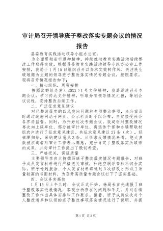 2024年审计局召开领导班子整改落实专题会议的情况报告