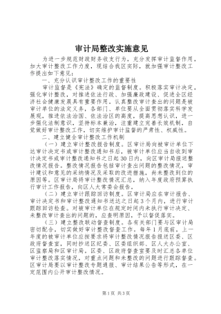 2024年审计局整改实施意见