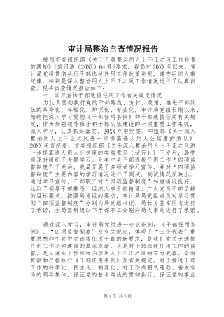 2024年审计局整治自查情况报告