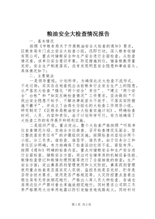 2024年粮油安全大检查情况报告