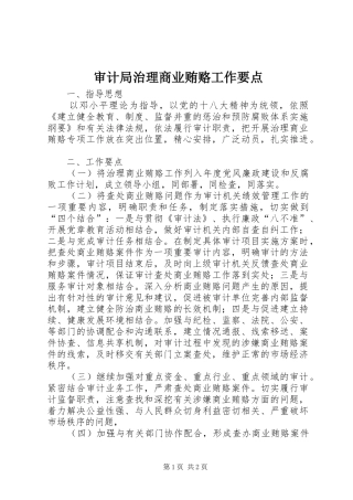 2024年审计局治理商业贿赂工作要点