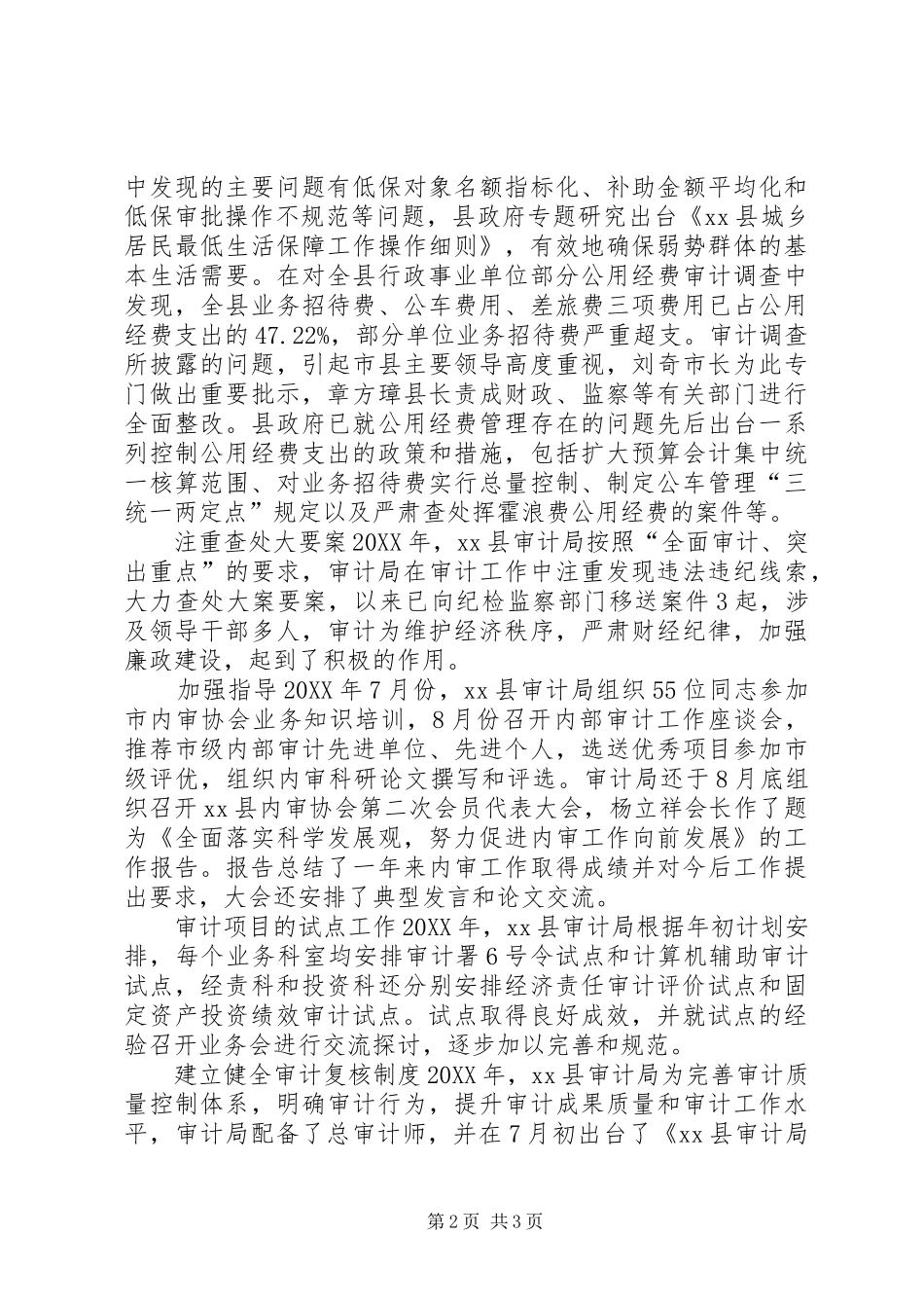 2024年审计局终工作总结_第2页