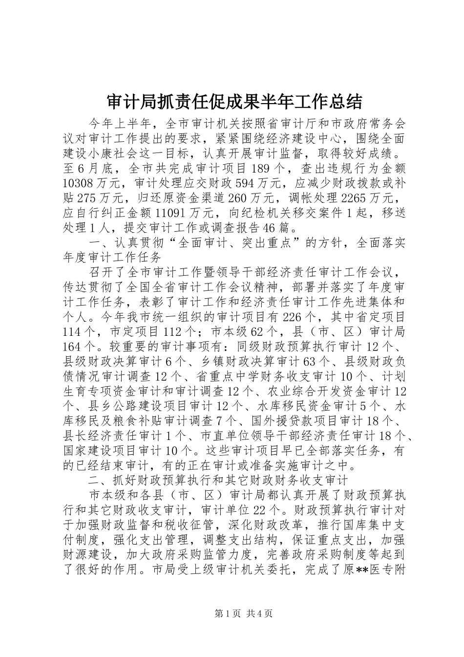 2024年审计局抓责任促成果半年工作总结_第1页