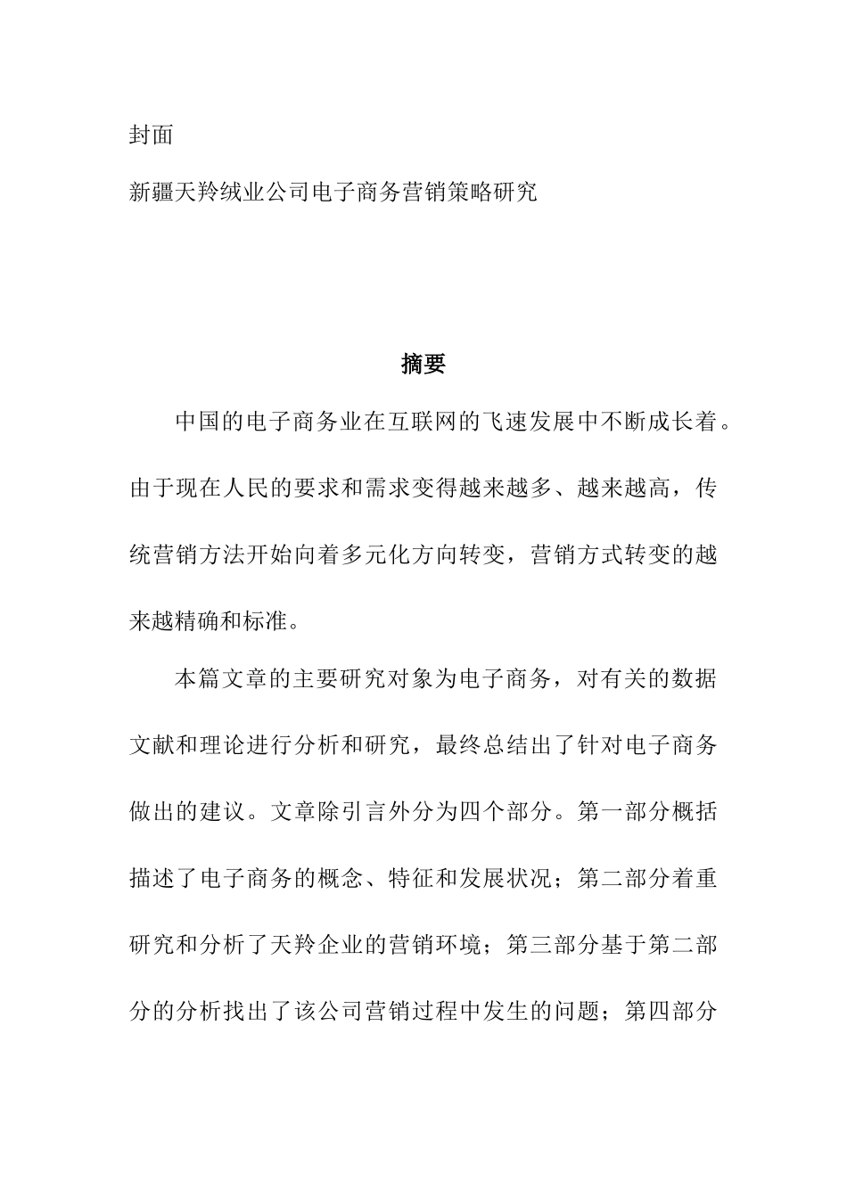 绒业公司电子商务营销策略研究  市场应营销专业_第1页