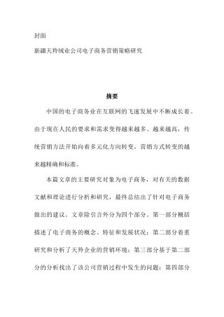 绒业公司电子商务营销策略研究  市场应营销专业