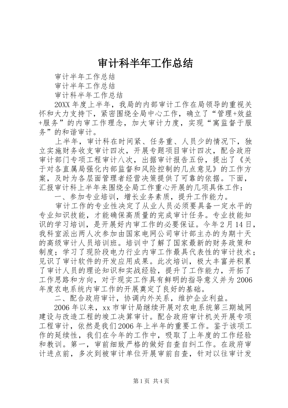 2024年审计科半年工作总结_第1页