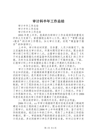2024年审计科半年工作总结