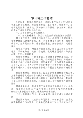 2024年审计科工作总结