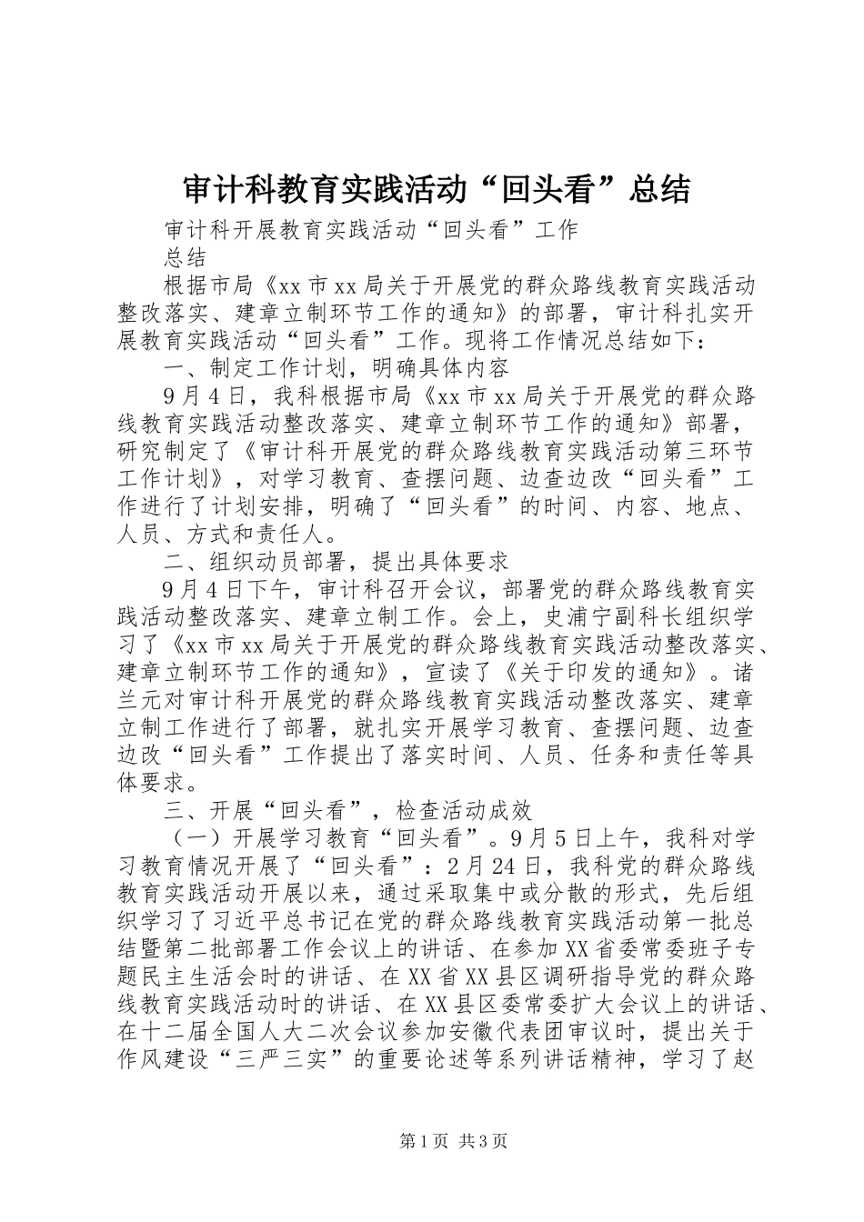 2024年审计科教育实践活动回头看总结_第1页