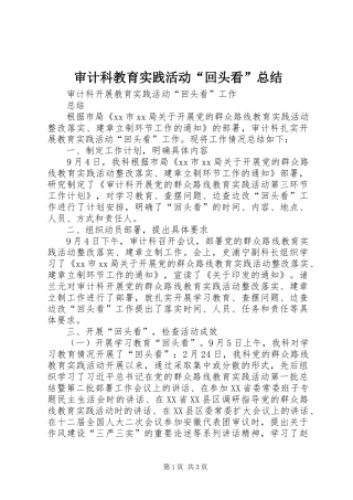2024年审计科教育实践活动回头看总结