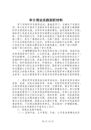 2024年审计理论实践剖析材料