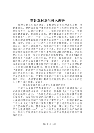 2024年审计农村卫生投入调研