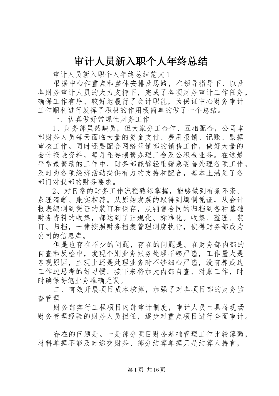 2024年审计人员新入职个人年终总结_第1页